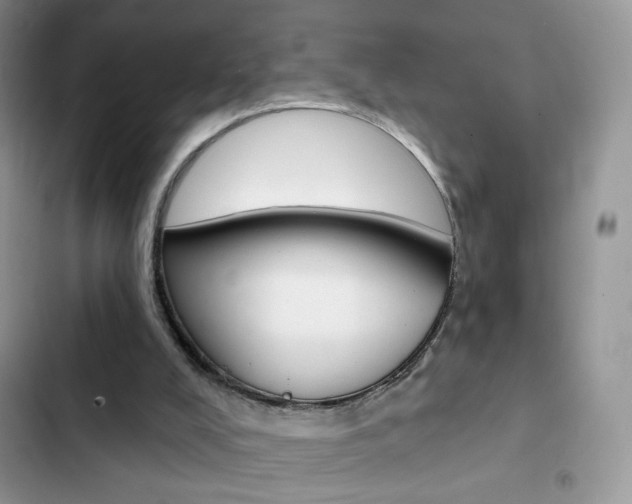 X0000102830008200808181059