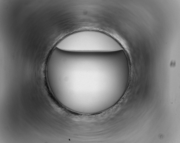 X0000102830009200808181059