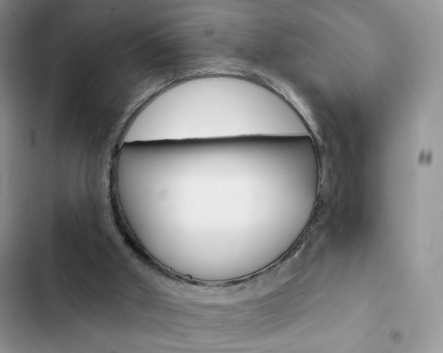 X0000102830010200808181059
