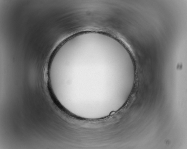 X0000102830011200808181059