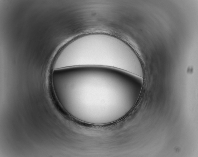 X0000102830012200808181059