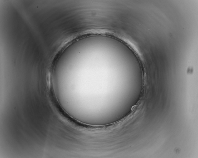 X0000102830013200808181059