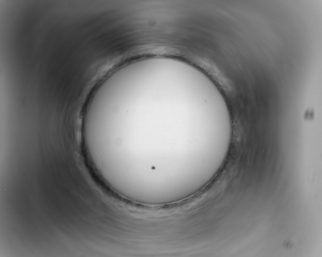 X0000102830014200808181059