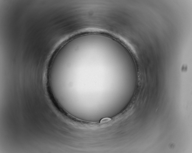 X0000102830015200808181059