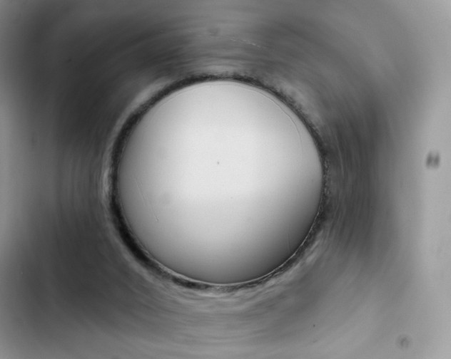 X0000102830016200808181059