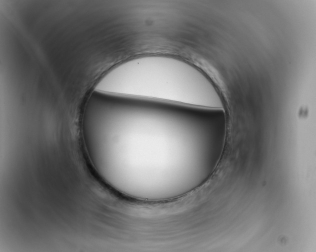 X0000102830017200808181059