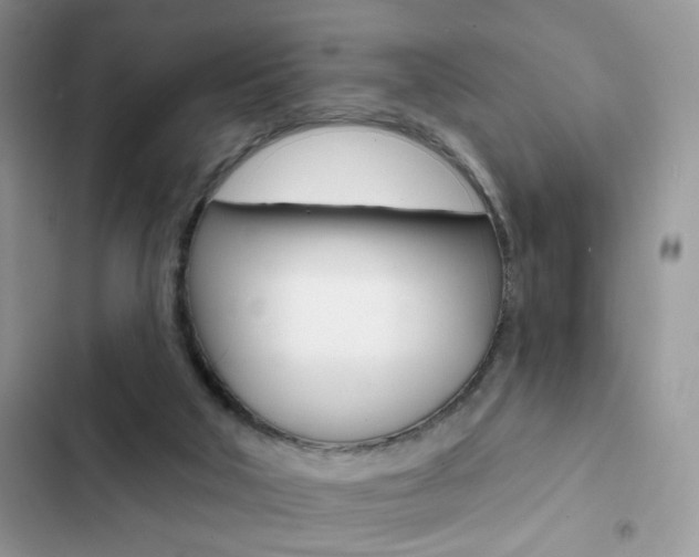 X0000102830018200808181059