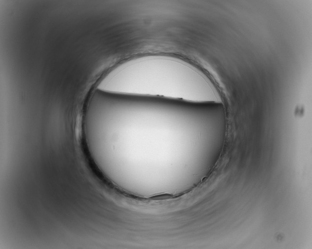X0000102830019200808181059