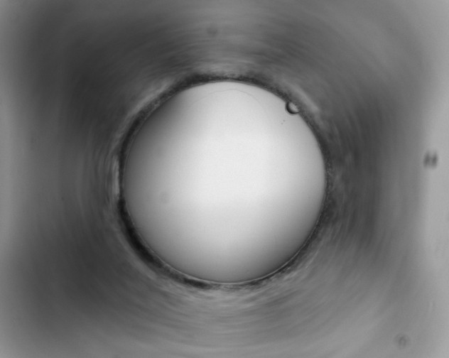X0000102830020200808181059