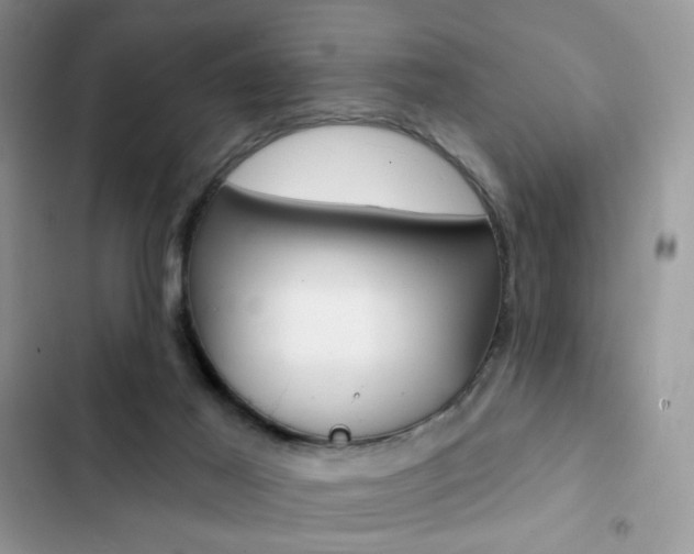 X0000102830021200808181059