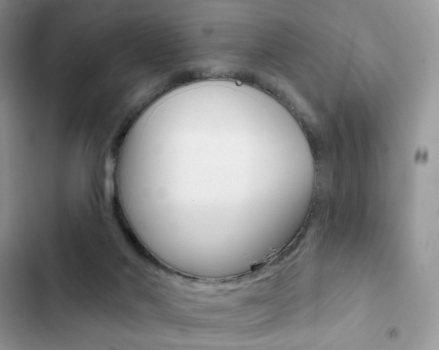 X0000102830022200808181059