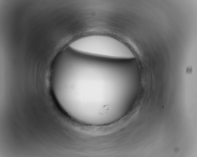 X0000102830023200808181059