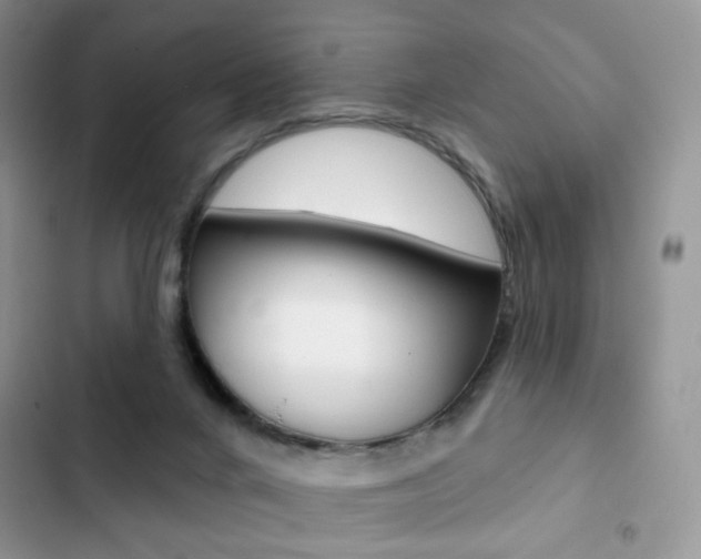 X0000102830024200808181059
