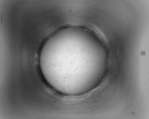 X0000102830025200808181059