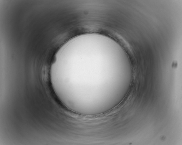 X0000102830026200808181059