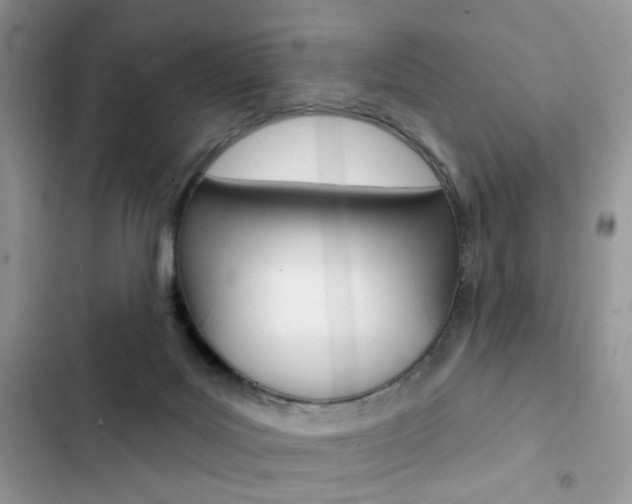 X0000102830027200808181059