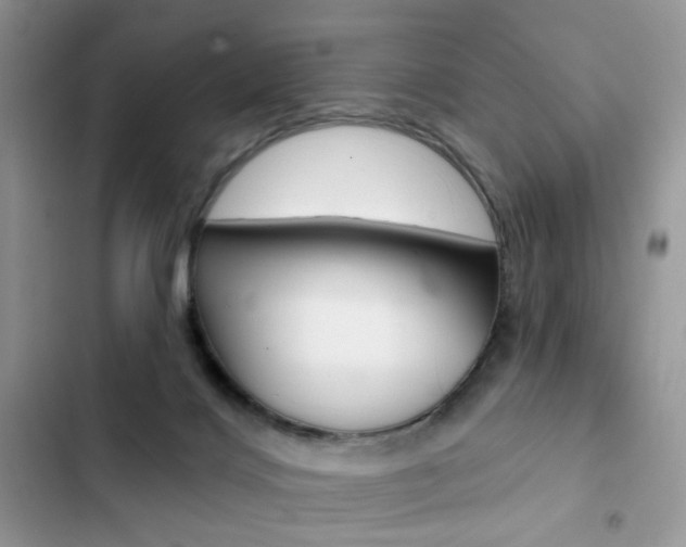 X0000102830028200808181059