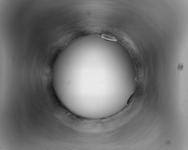 X0000102830029200808181059
