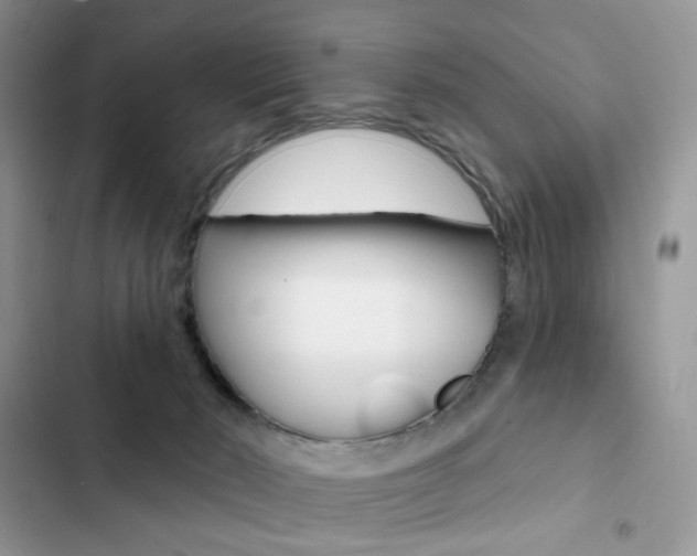X0000102830030200808181059