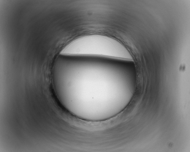 X0000102830031200808181059