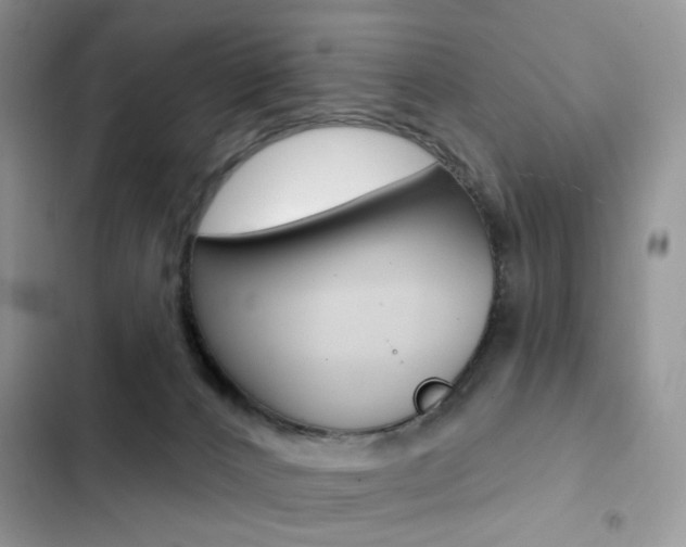 X0000102830032200808181059