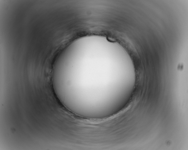 X0000102830033200808181059
