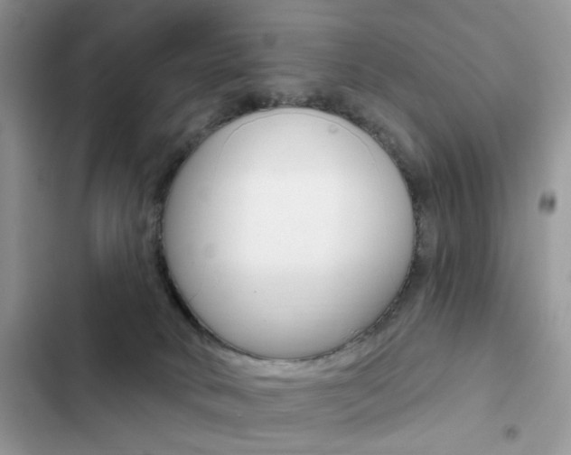 X0000102830034200808181059