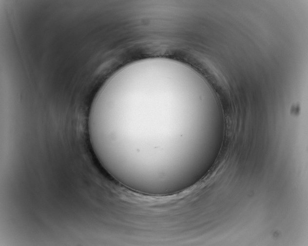 X0000102830035200808181059