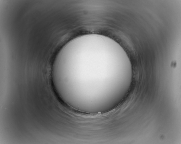 X0000102830036200808181059