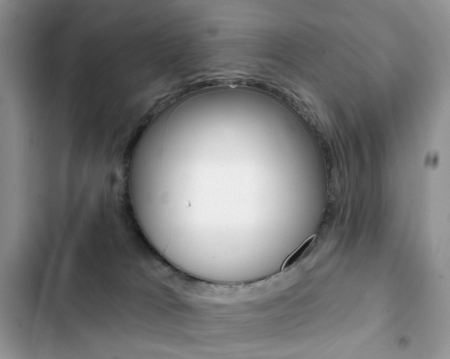 X0000102830037200808181059
