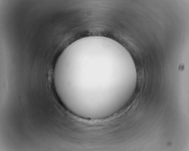 X0000102830038200808181059