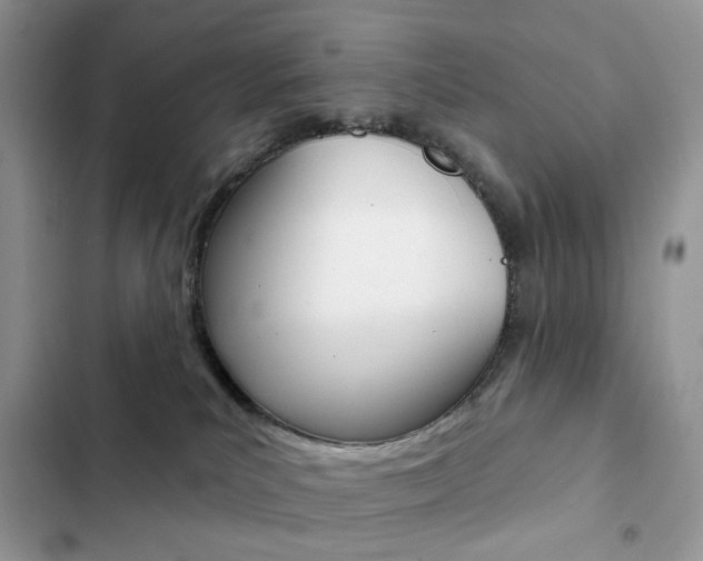 X0000102830039200808181059