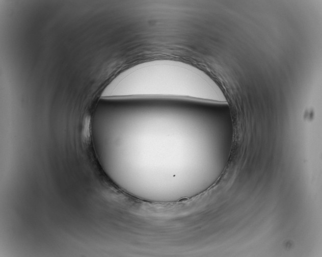 X0000102830041200808181059