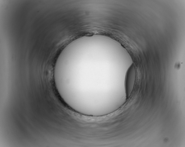 X0000102830043200808181059