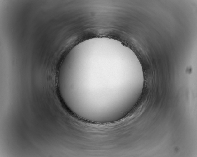 X0000102830044200808181059