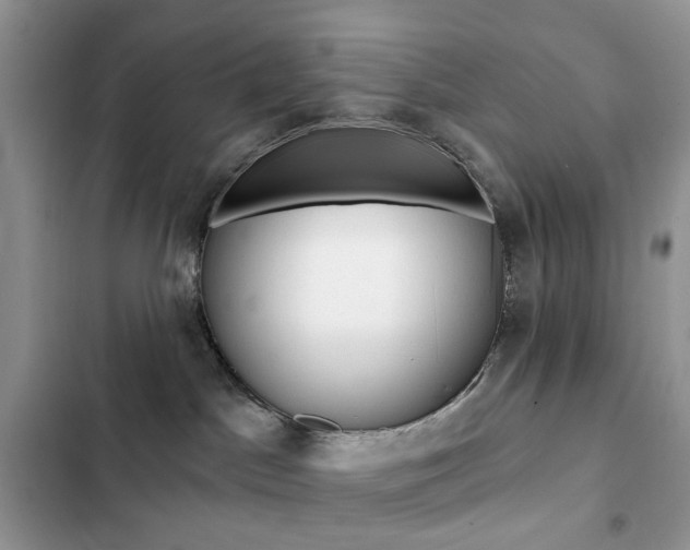 X0000102830045200808181059