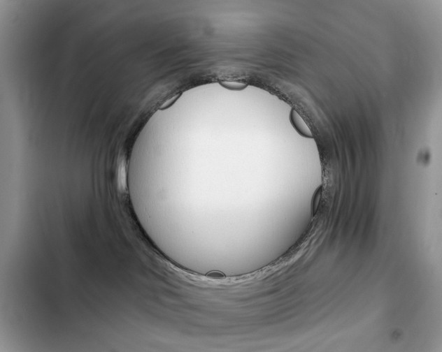 X0000102830046200808181059