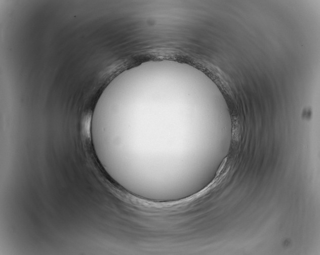 X0000102830047200808181059
