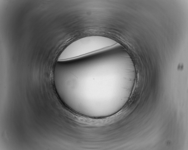 X0000102830048200808181059
