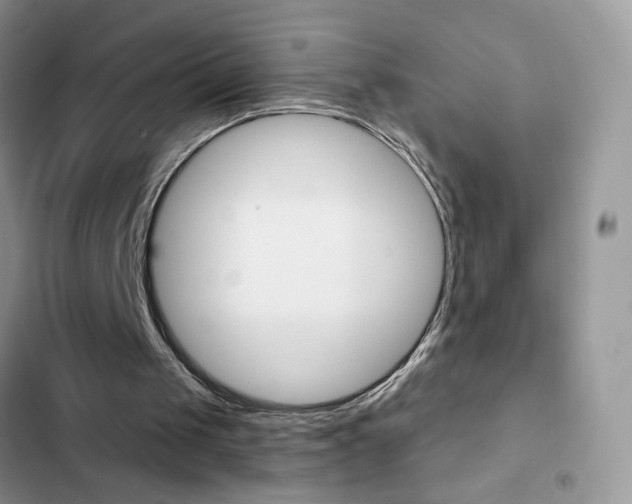 X0000102830049200808181058