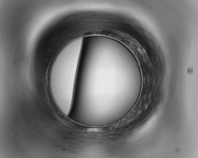 X0000102830050200808181058