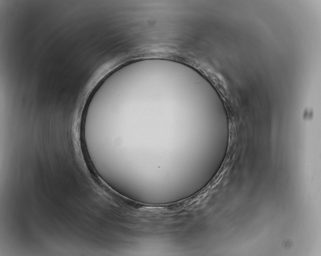 X0000102830051200808181058