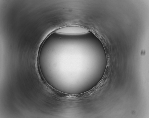 X0000102830052200808181058