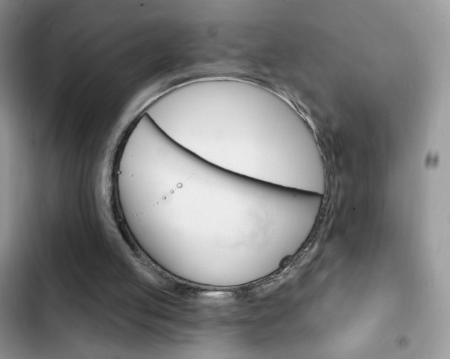 X0000102830053200808181058