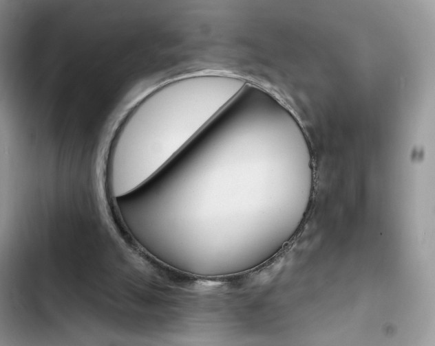 X0000102830055200808181058