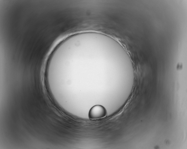 X0000102830056200808181058