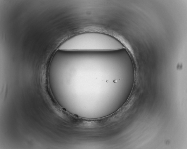 X0000102830057200808181058