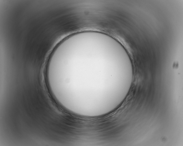 X0000102830060200808181058