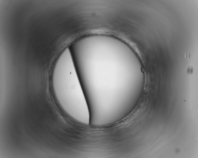 X0000102830061200808181058