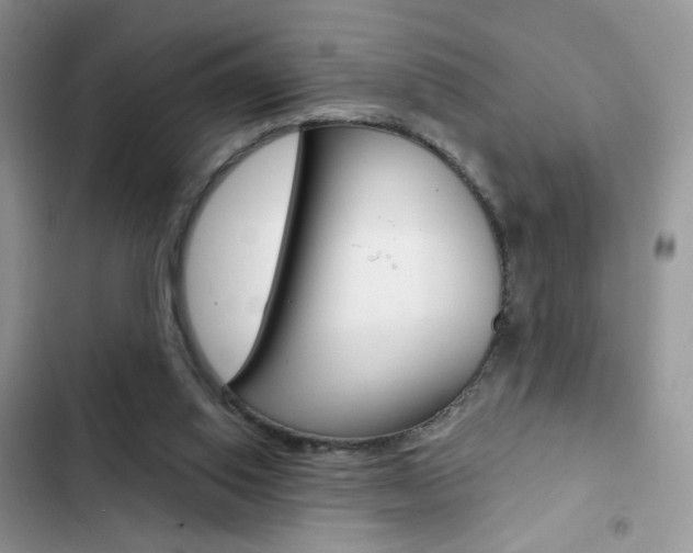 X0000102830062200808181058